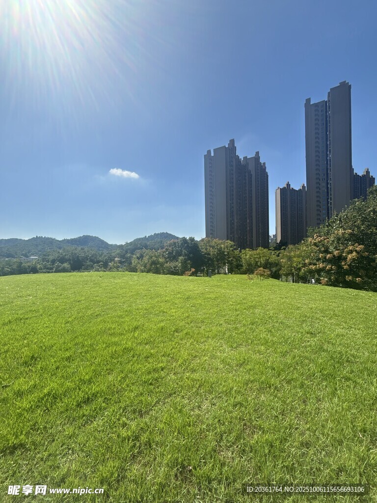 城市旁的开阔绿草地