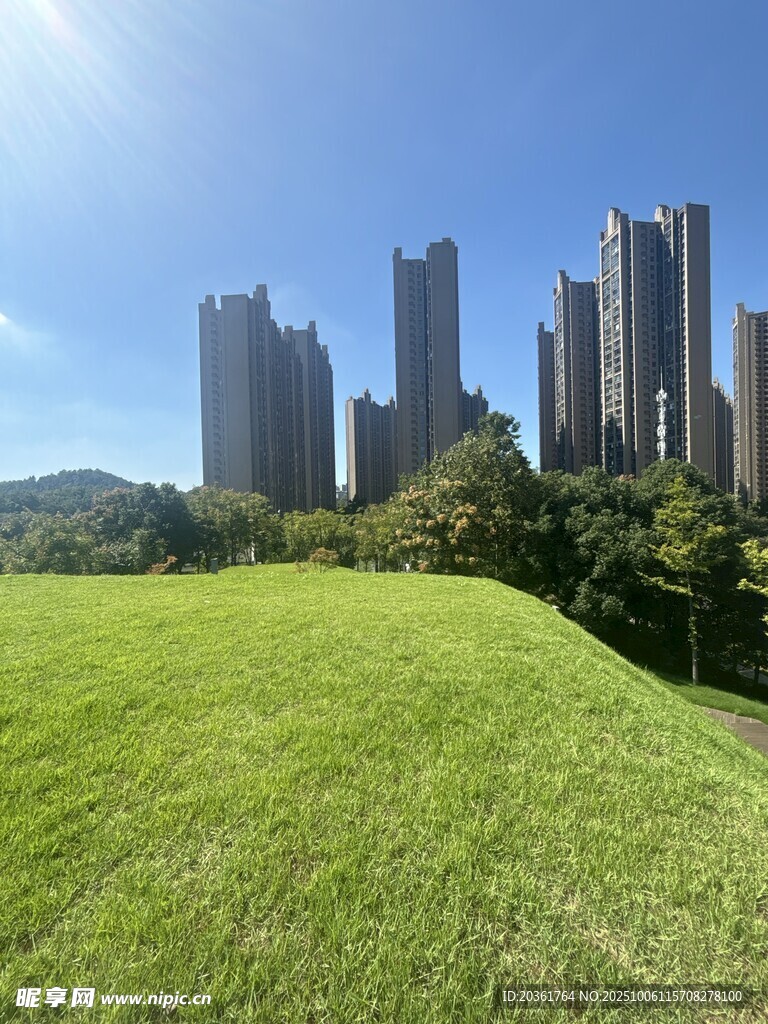 城市边的翠绿草坪与高楼