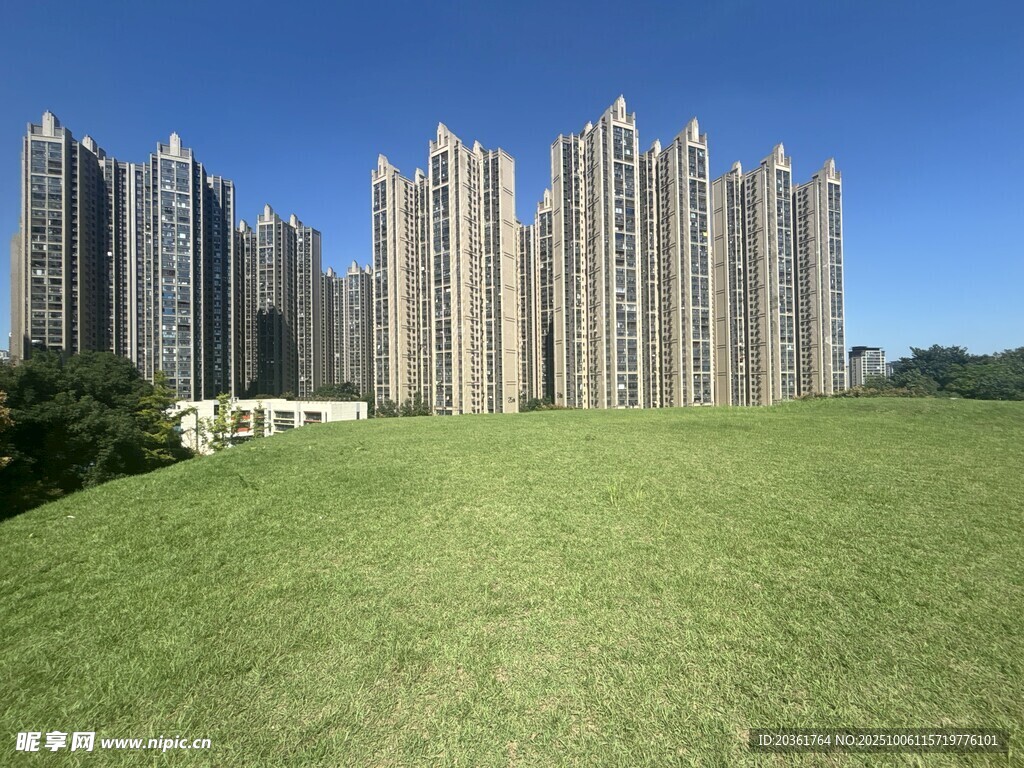 高楼前的大片翠绿草坪