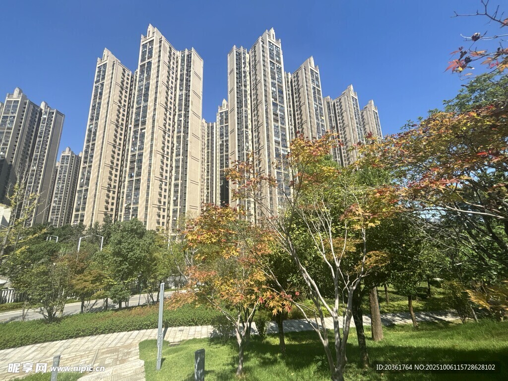 城市高楼与秋日公园景致