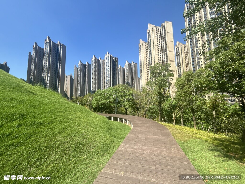 城市绿地中的高楼与小径
