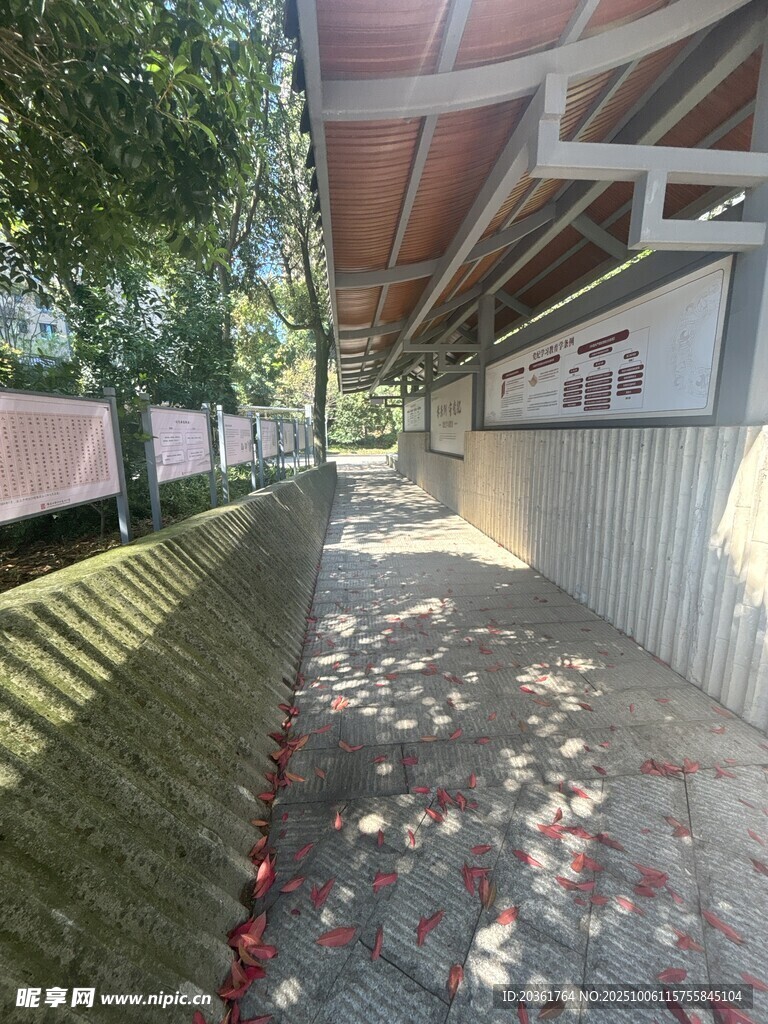 秋日小道落叶铺满地面