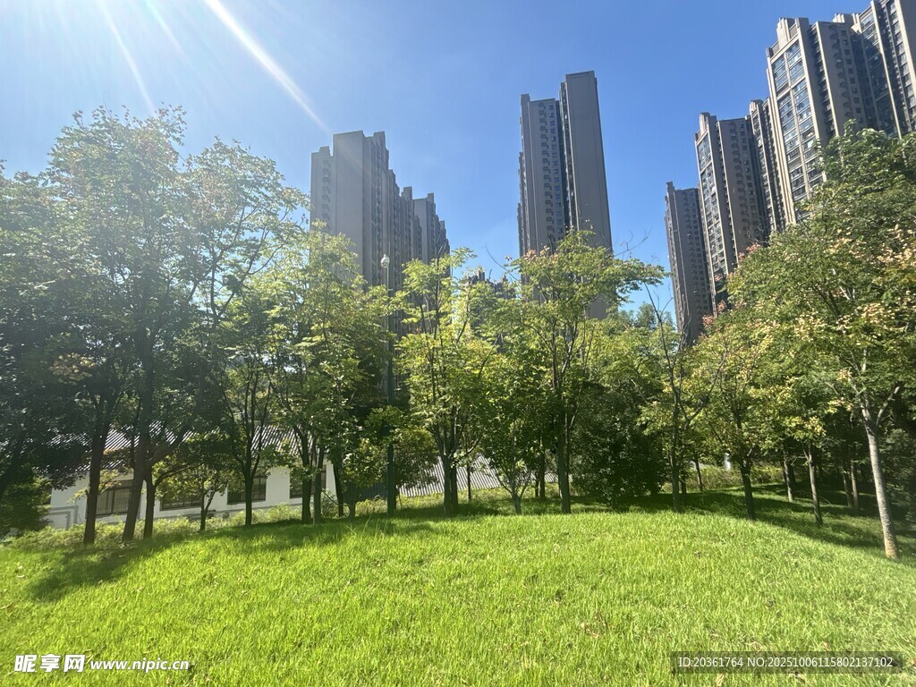 城市绿地旁的高楼景致