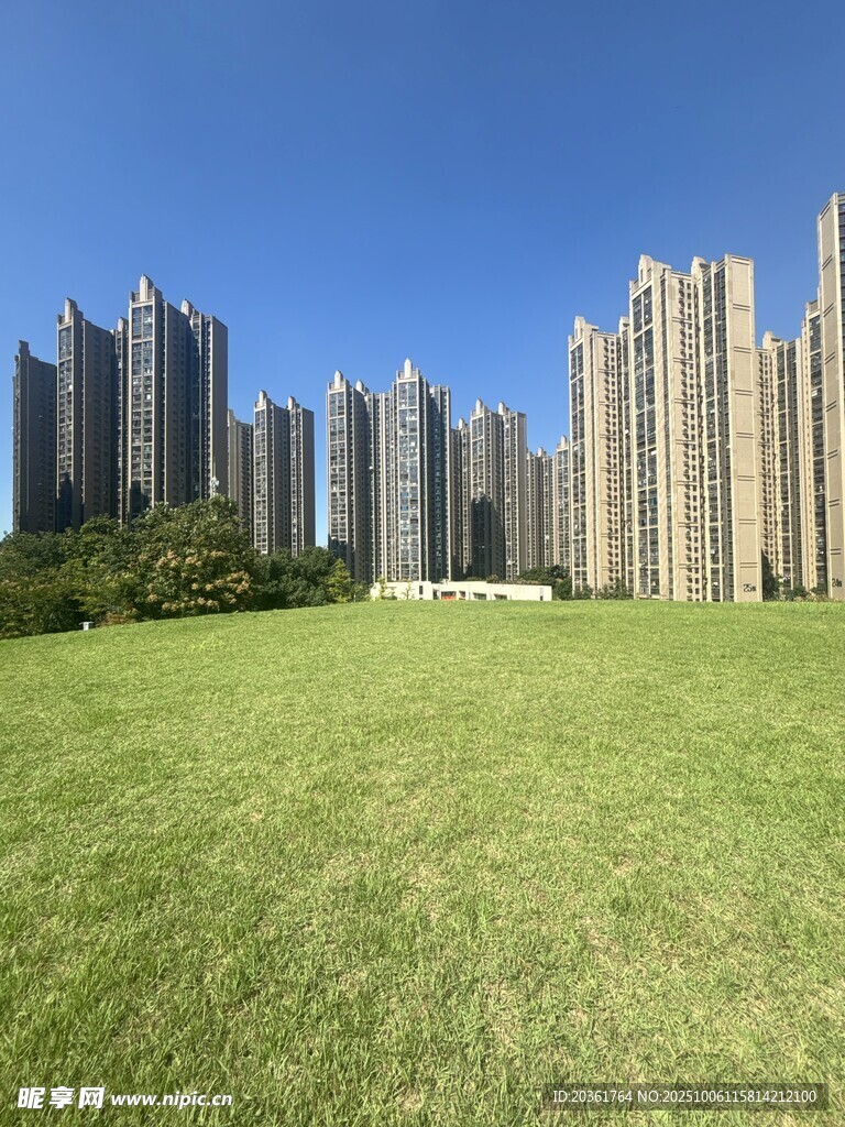 城市草地旁的高楼景观