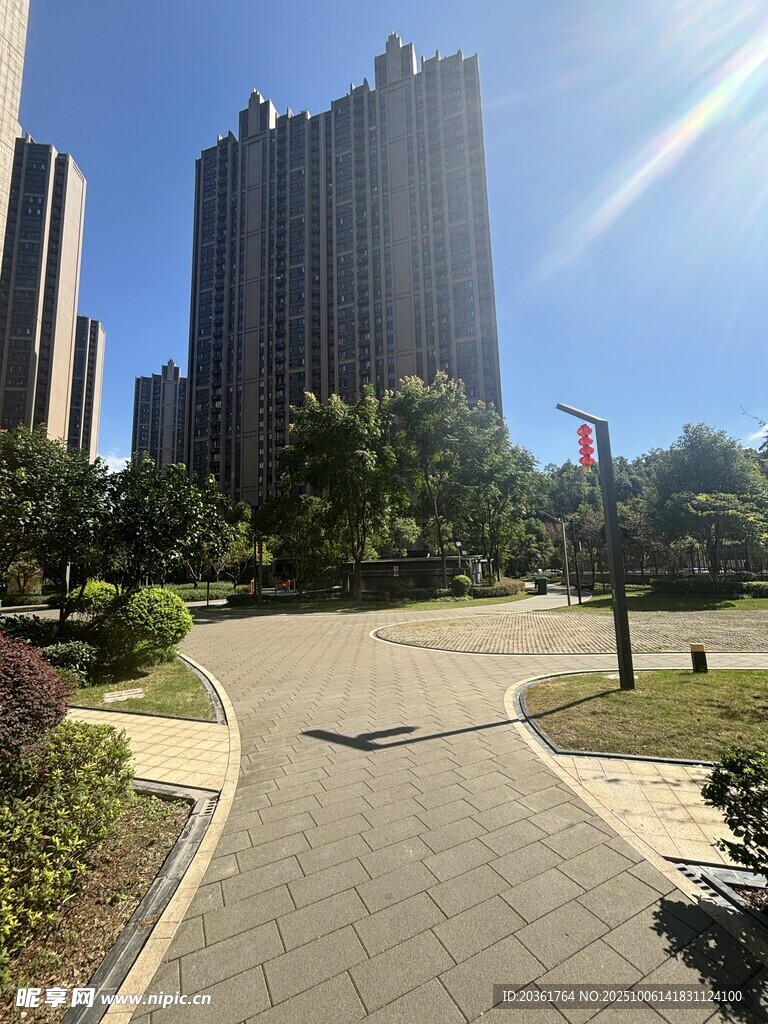 城市公园中的高楼景观