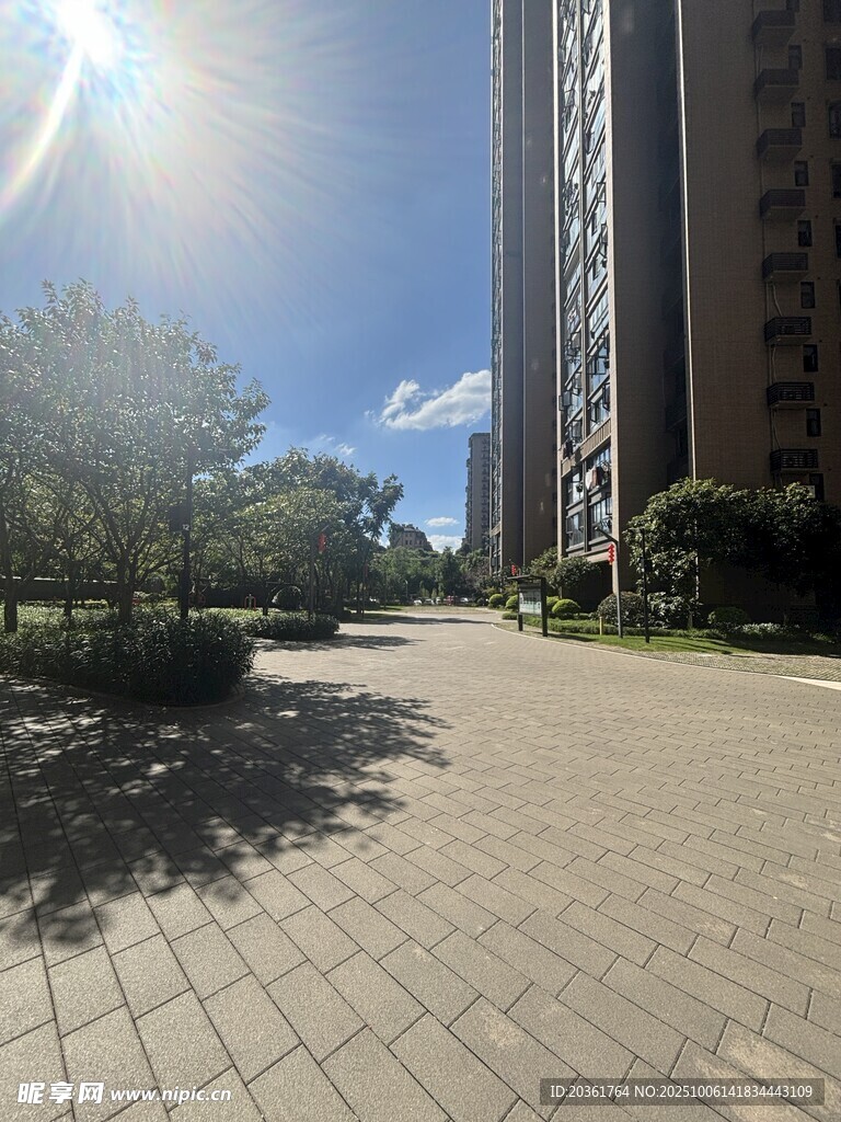 阳光照耀下的小区道路