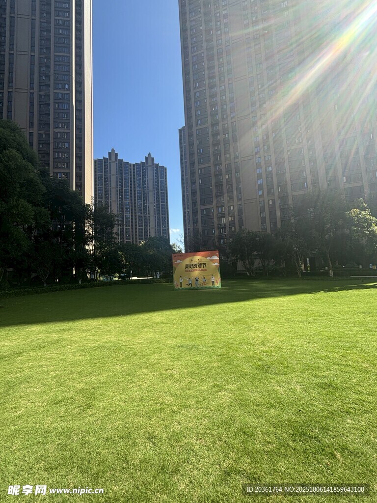 城市草坪上的明媚阳光