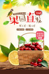 新鲜樱桃海报