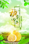 柚香海报