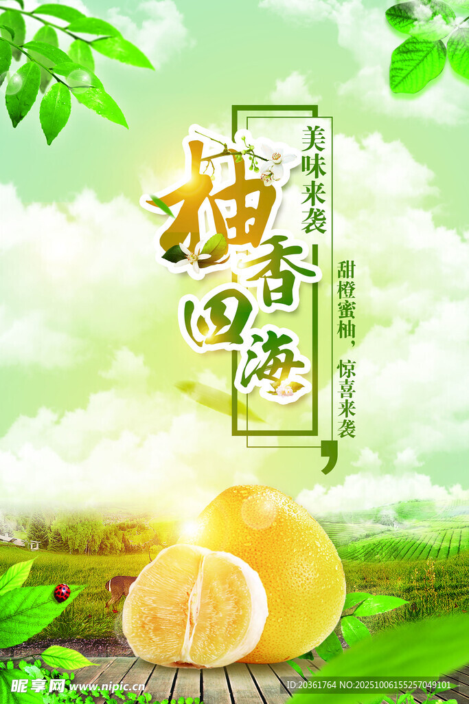柚香海报
