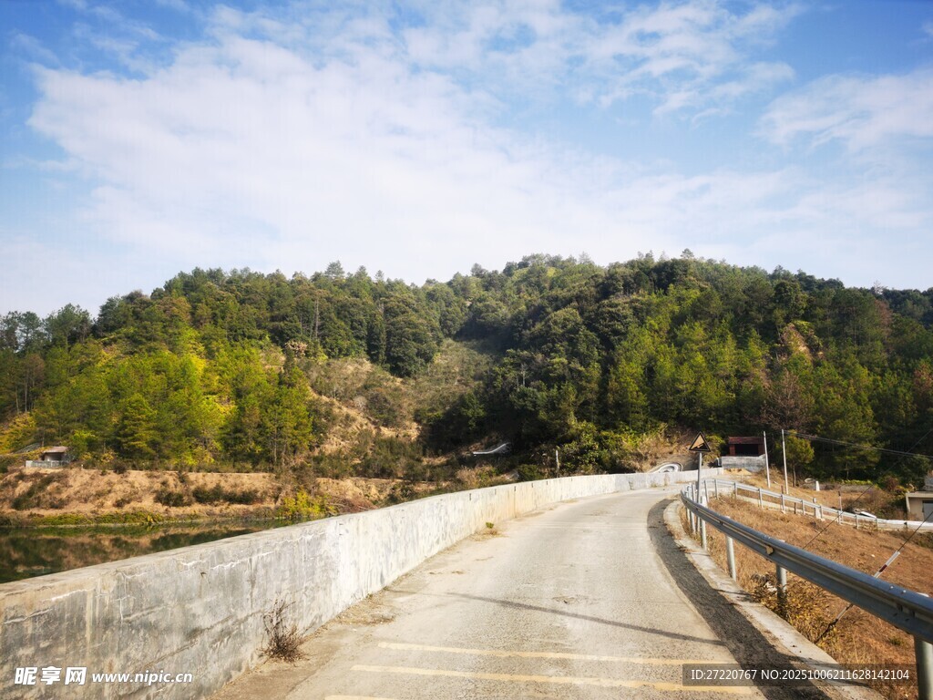 森林 蓝天