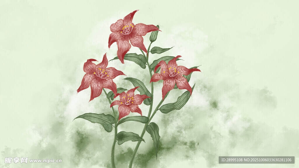百合花