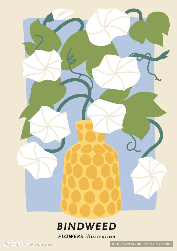 花瓶插白花插画作品