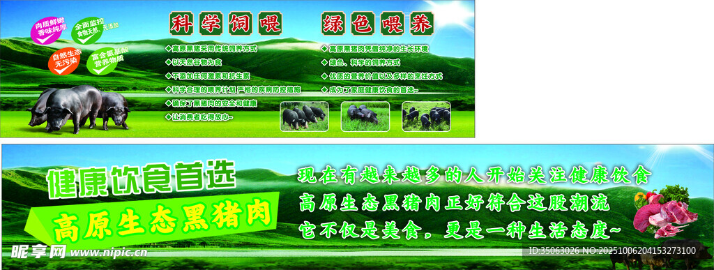 黑土猪