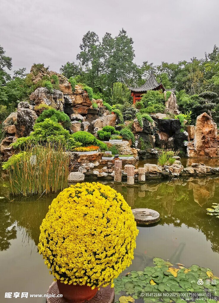 园林花景