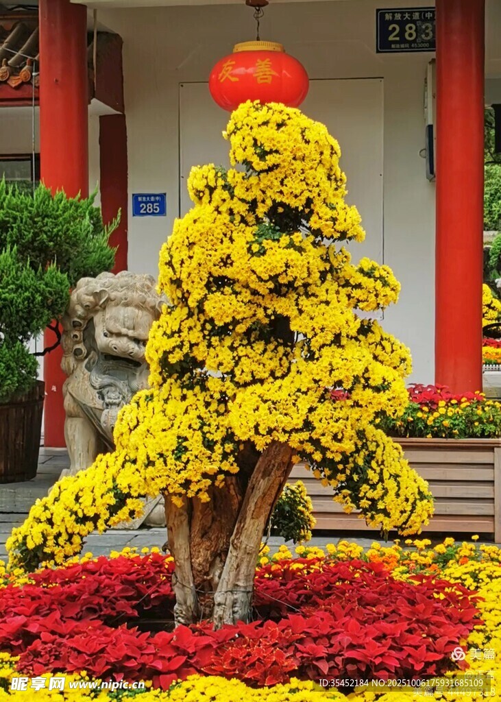 盆景