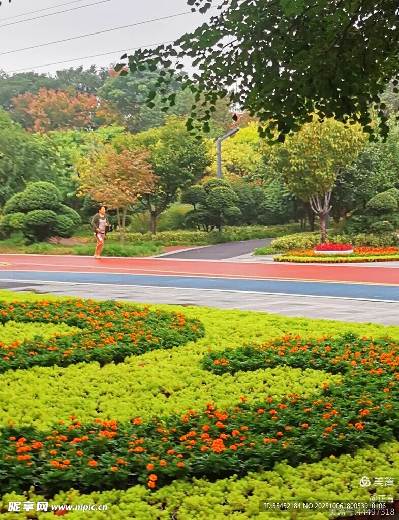 城市园林