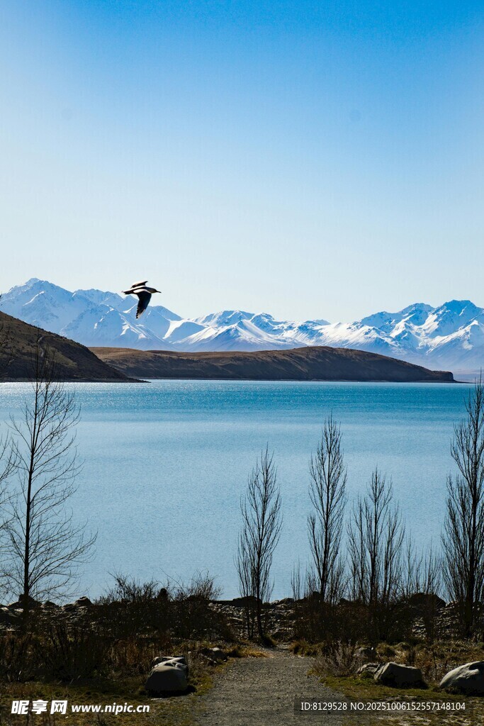 湖畔雪山美景