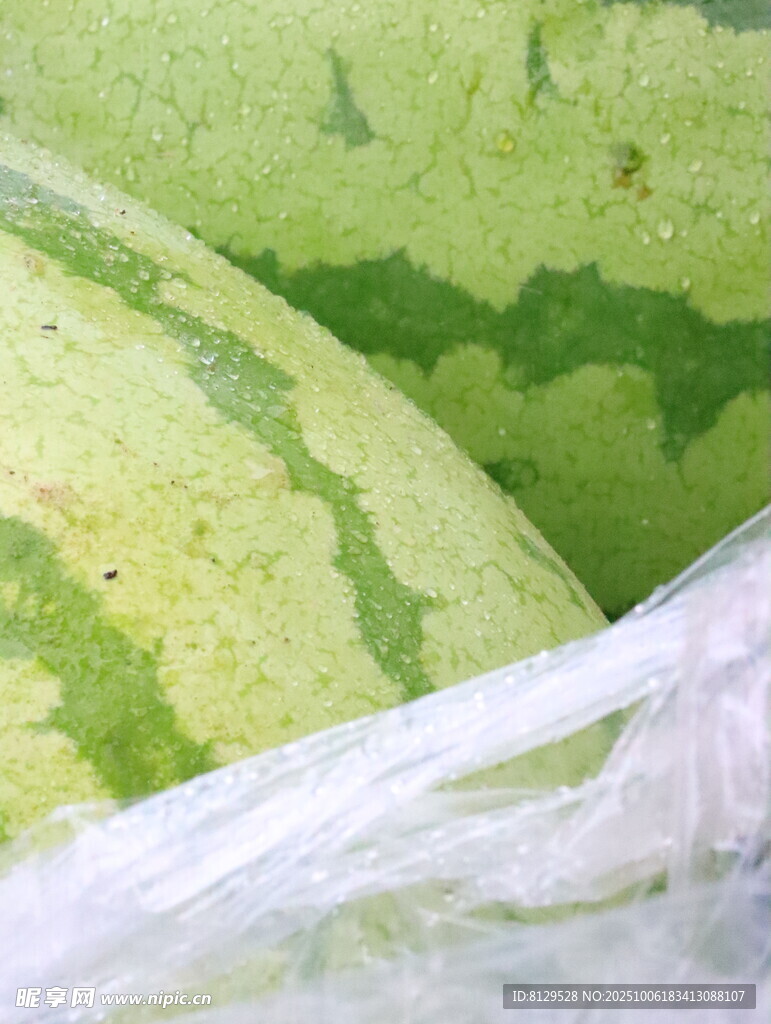 新鲜西瓜置于白色塑料袋中