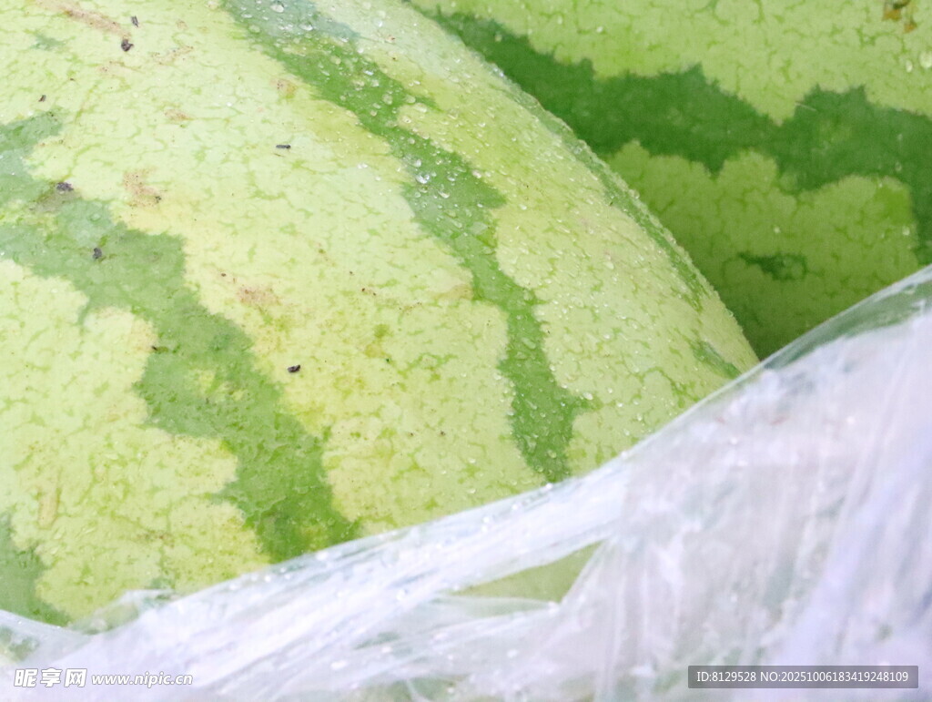 新鲜翠绿的西瓜