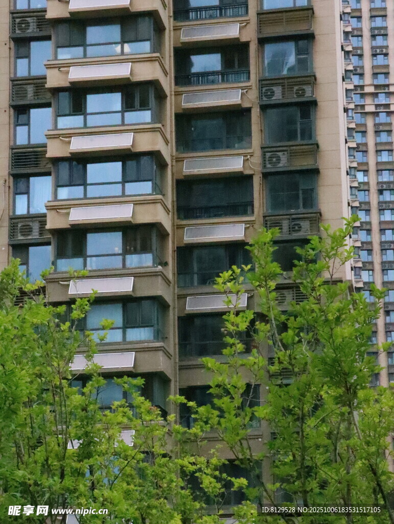 高层住宅楼外观与绿植