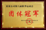 运动会奖牌