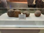 古代石器展品展示
