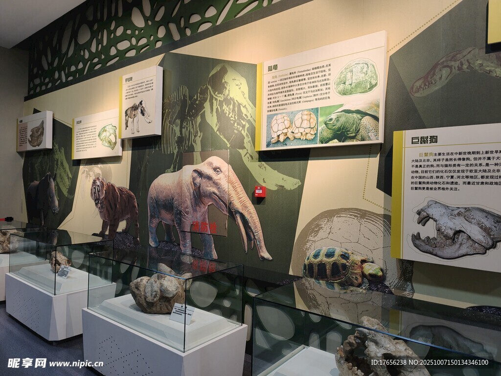 博物馆内的史前生物展示