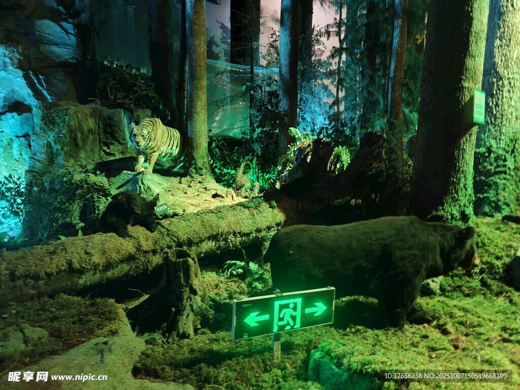 奇幻森林中的神秘绿色标志