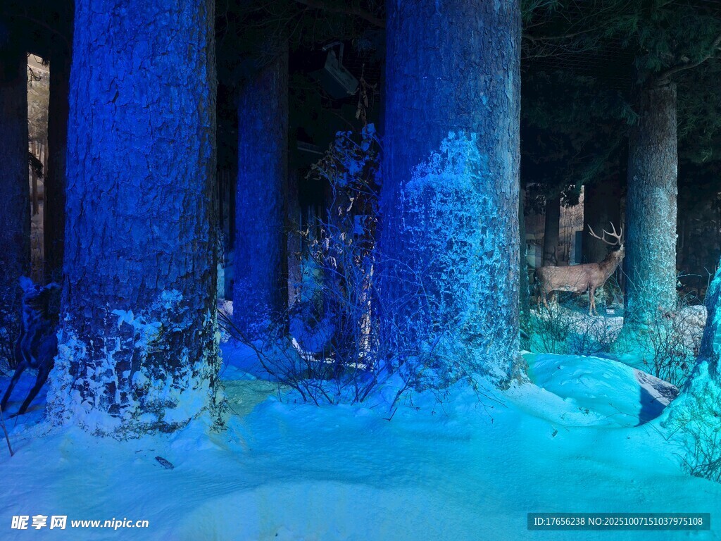 梦幻蓝色森林场景
