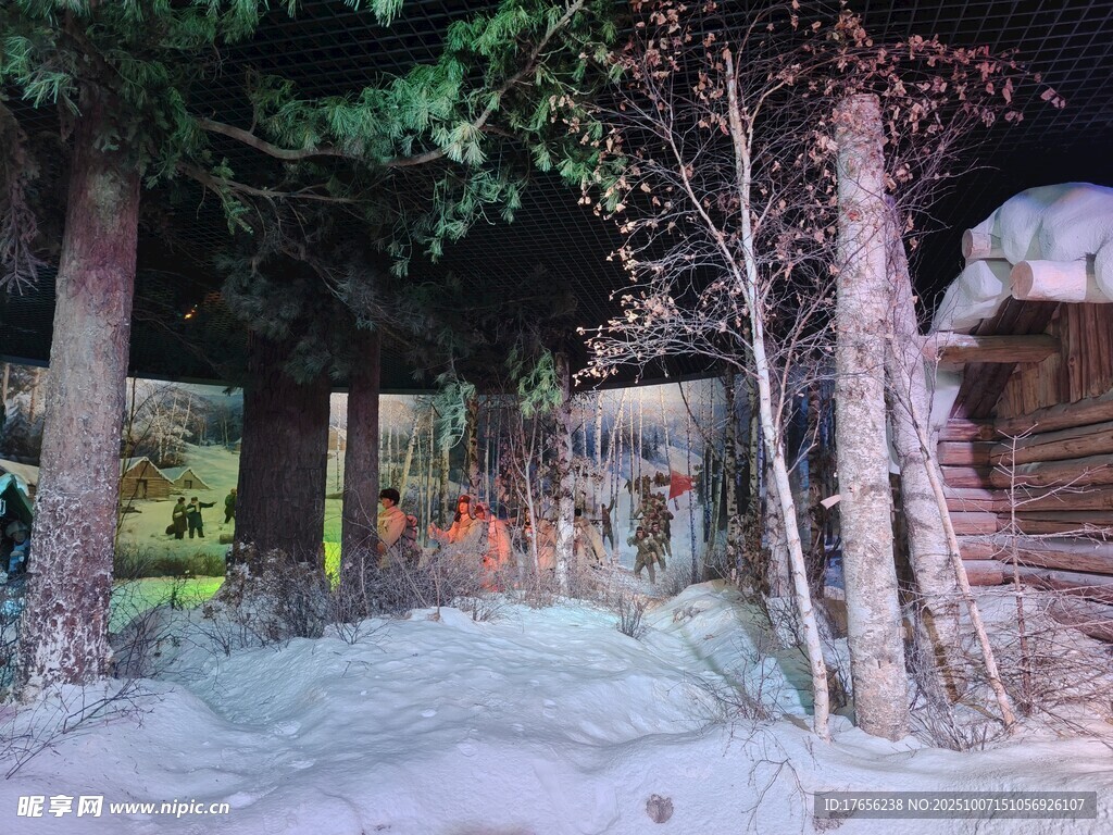 林间小屋旁的静谧小道