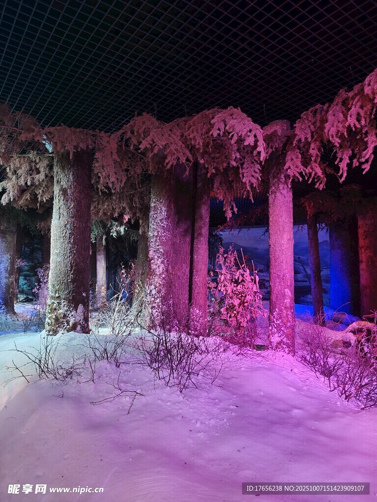 梦幻冰雪溶洞景观