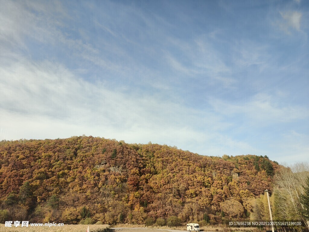 秋日斑斓山丘风景
