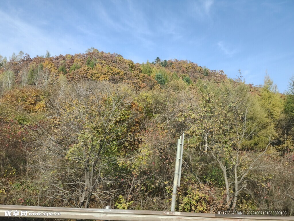 秋日山林风景