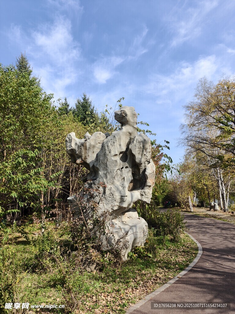 林间奇石
