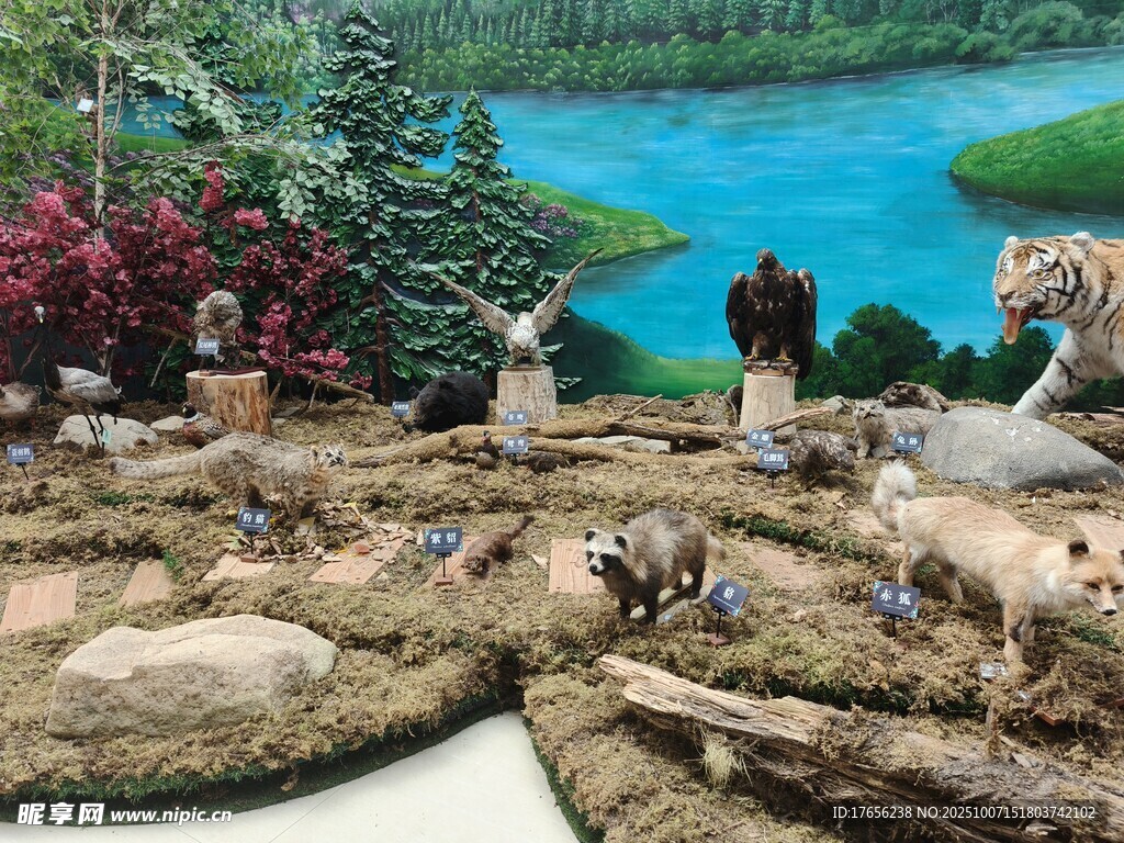 精致景观微缩模型展示