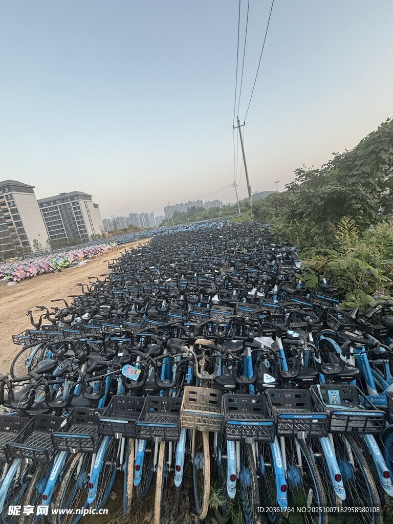 大量共享单车整齐停放