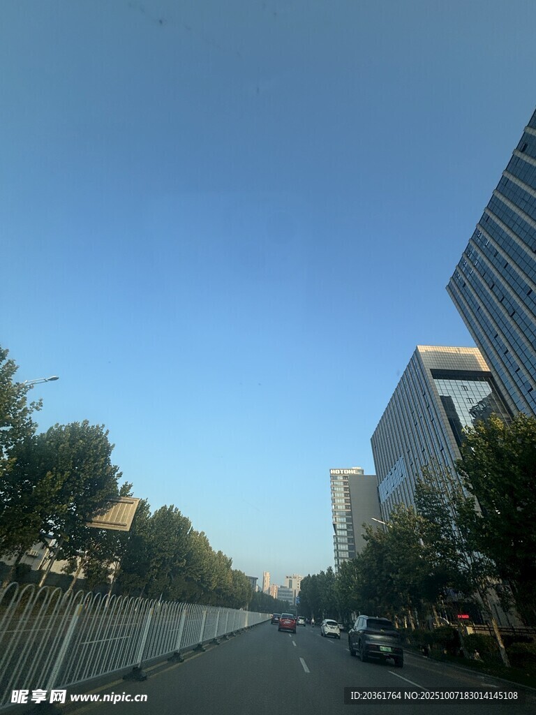城市道路旁的高楼与绿树