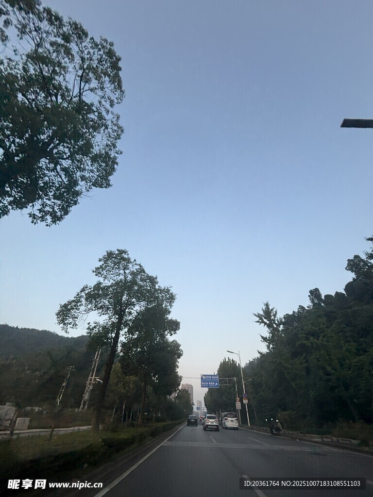 公路晨光中的树木风景