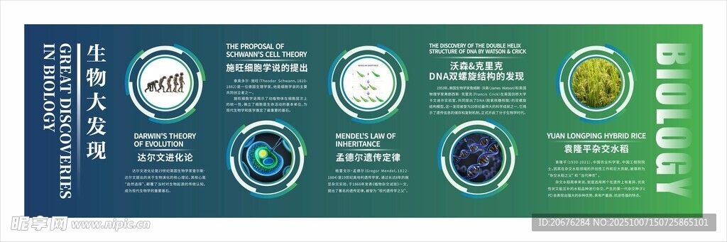生物实验室文化墙
