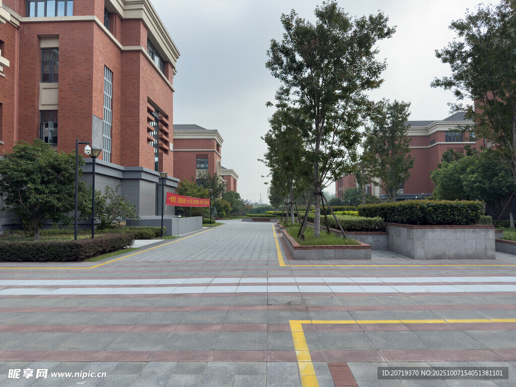 校园宽阔道路与建筑景观