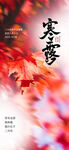 寒露节气海报二十四节气