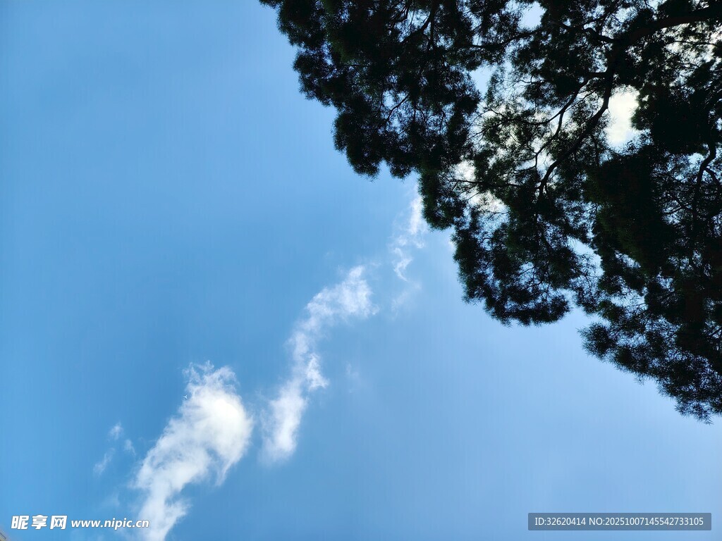 蓝天绿树间的白云