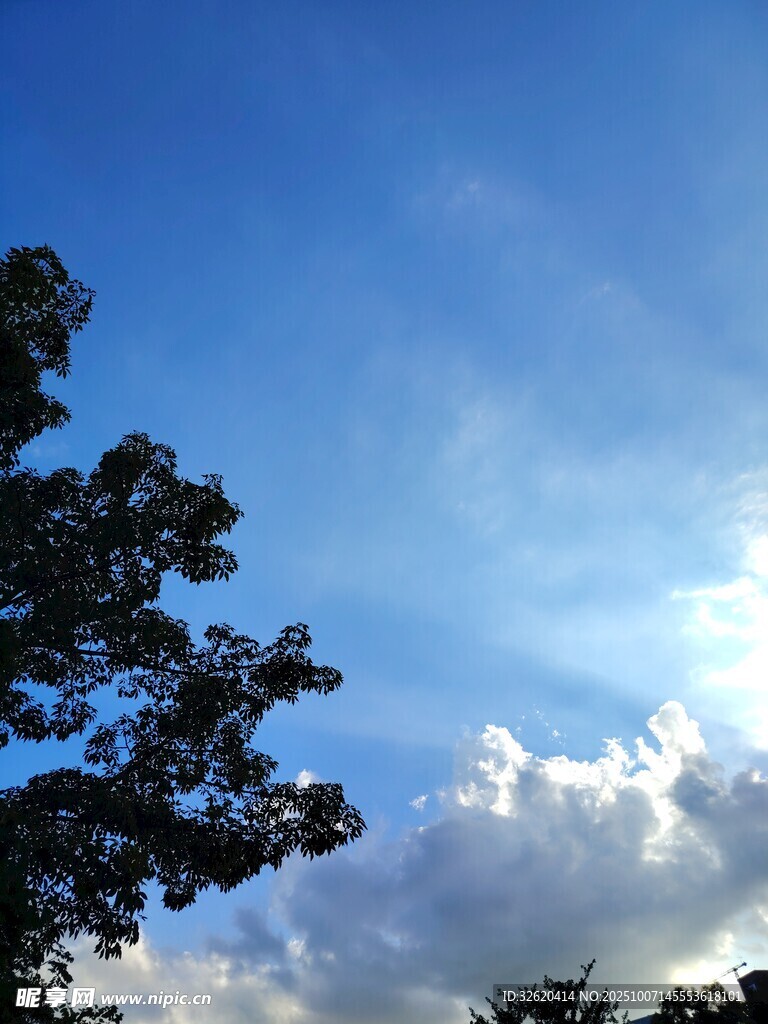 蓝天绿树间的美丽景致