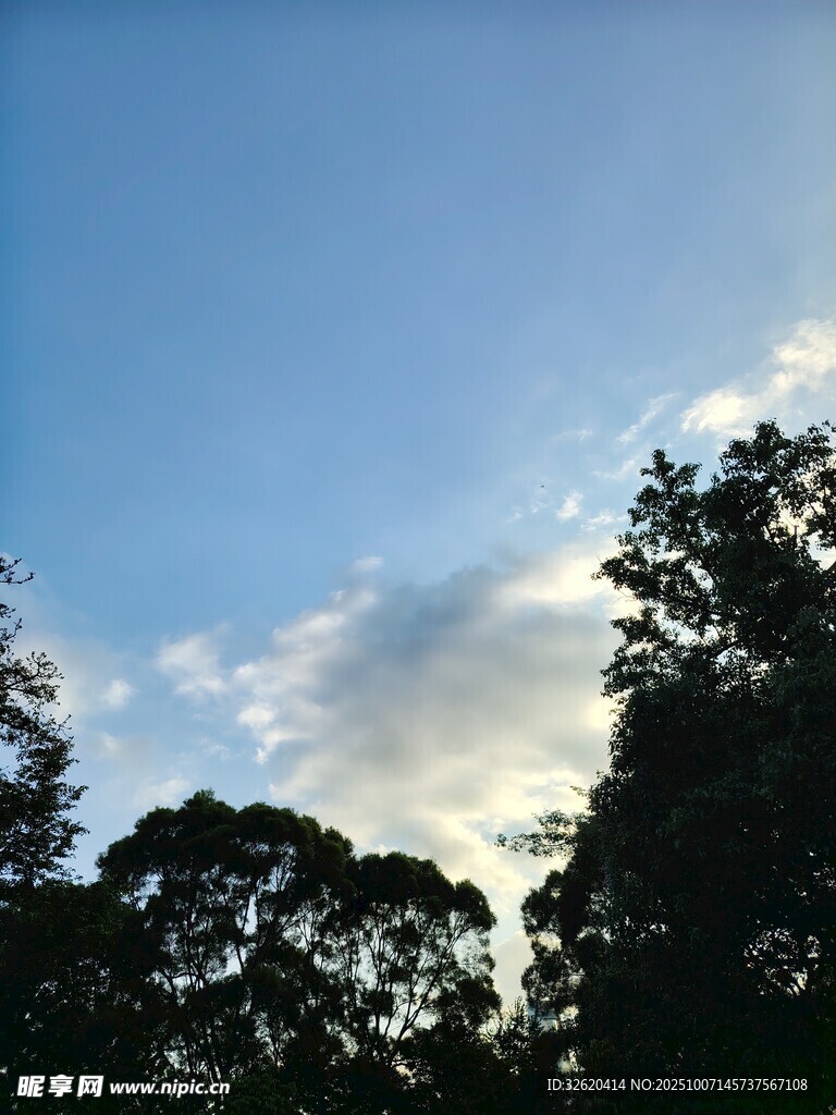 蓝天绿树间的云朵美景