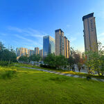 城市绿地旁的现代高楼景观