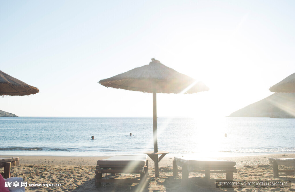 海滩日光下的遮阳伞场景