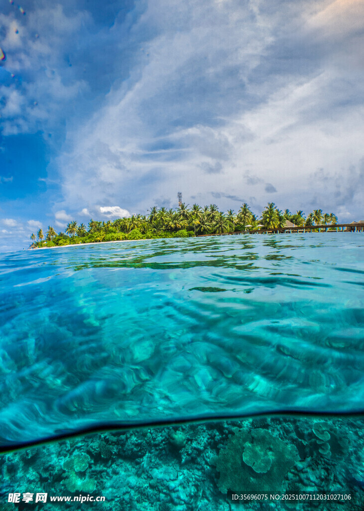 清澈海岛水下美景