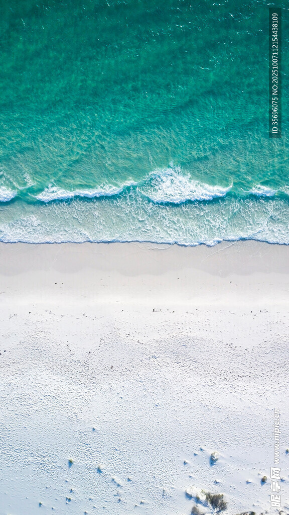 夏日海滩