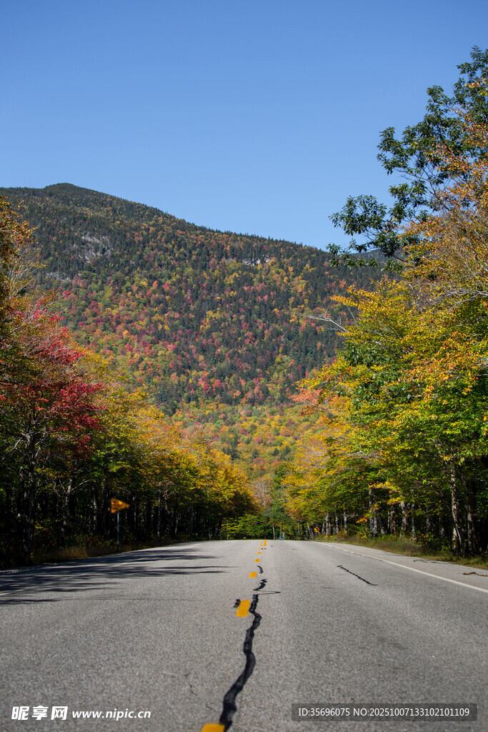 秋日公路赏斑斓山林美景